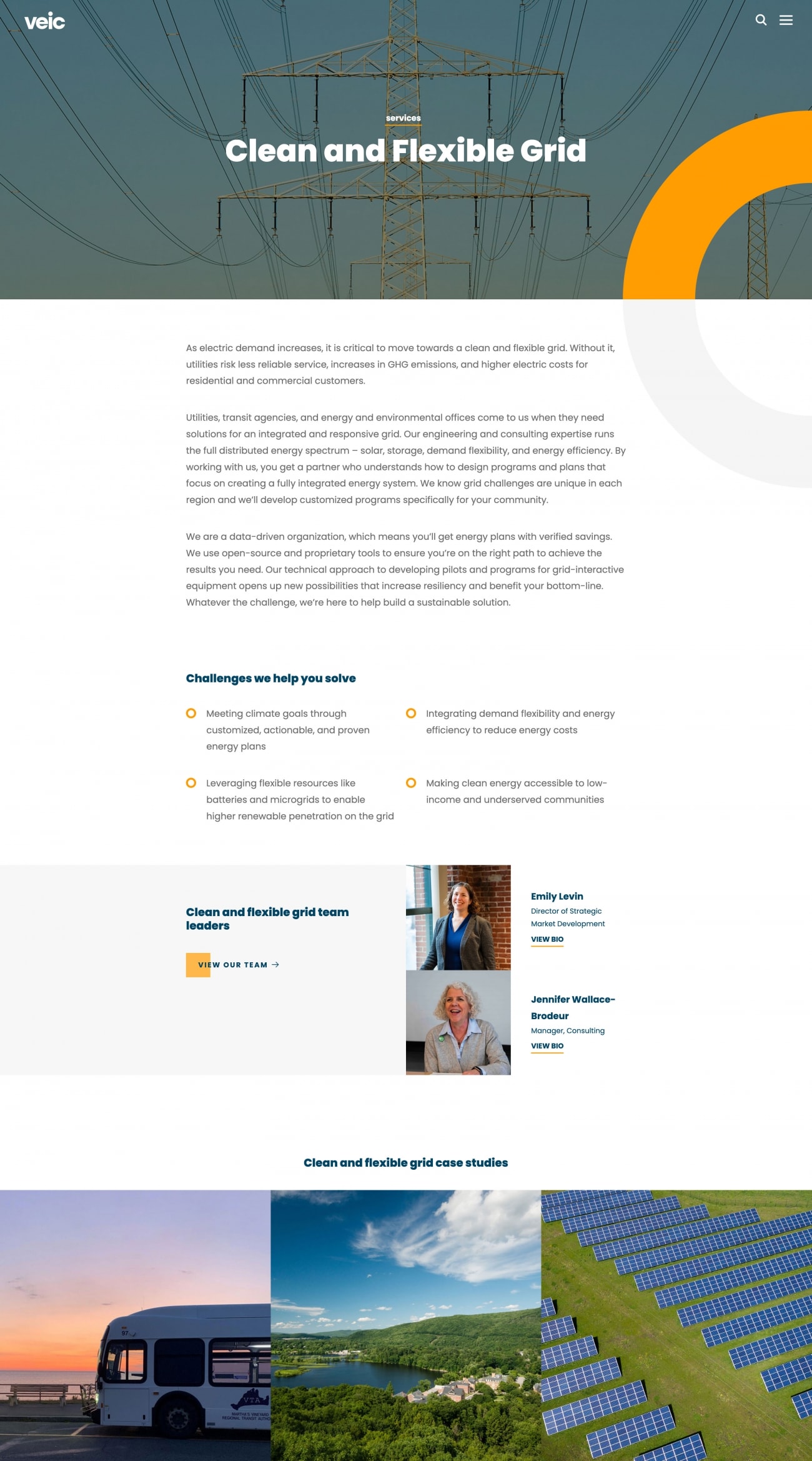 veic website service