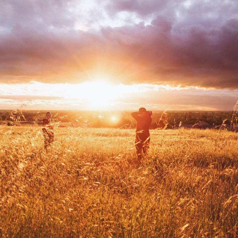 Three people in a wheat field with the sun setting