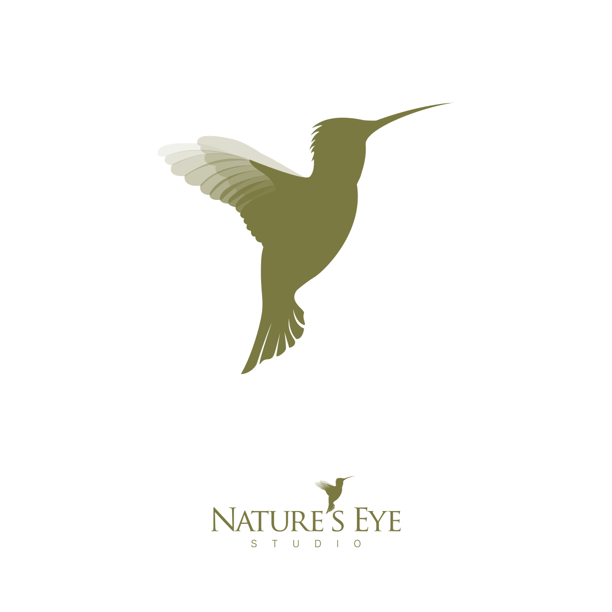 Nature's Eye Studio logo