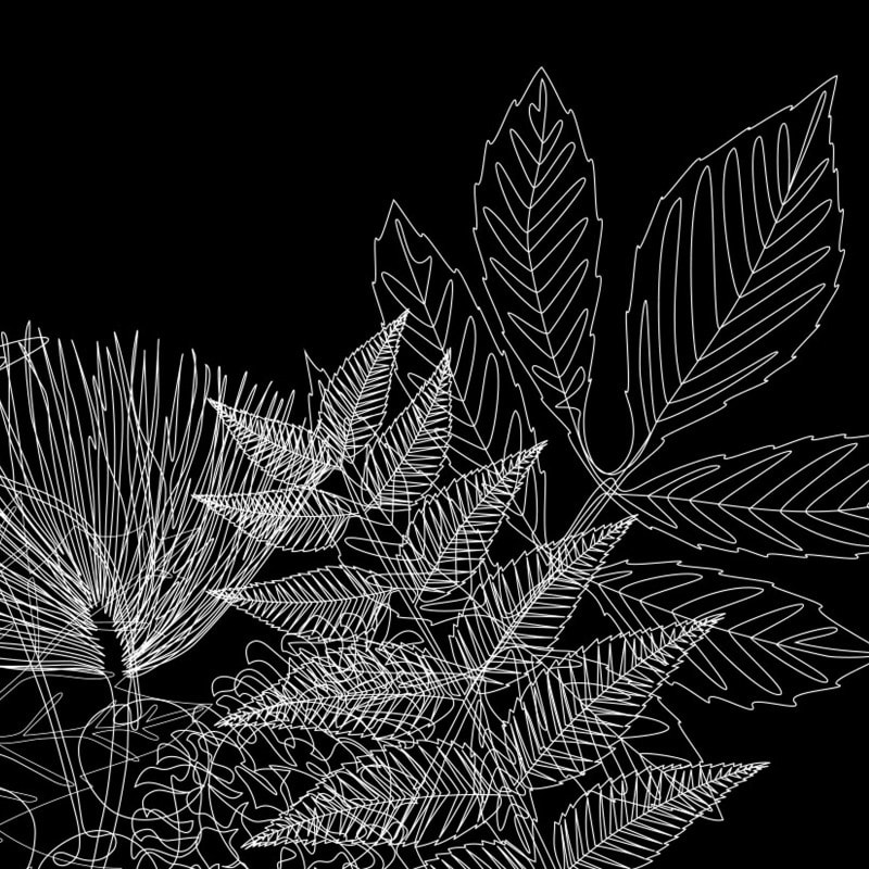 line art illustrations of tree leaves